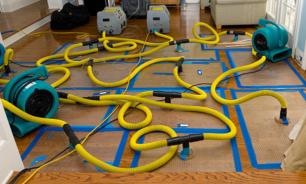 Professional Burst Pipe Water Damage technician working in Genoa, NV